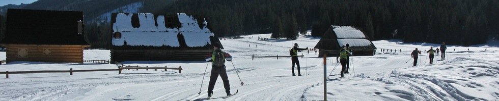 zakopane narty biegowe